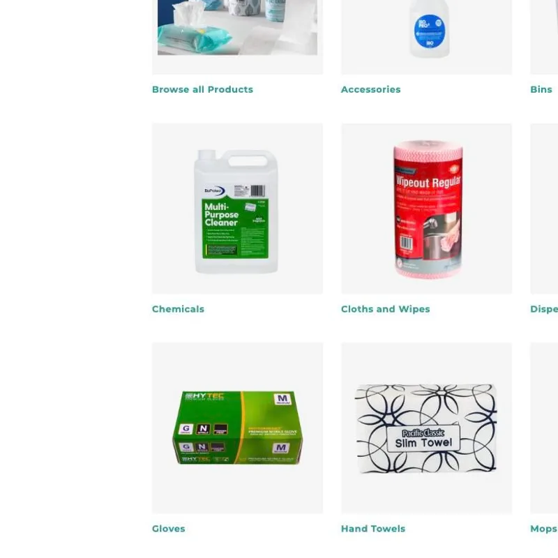 Core Hygiene storefront